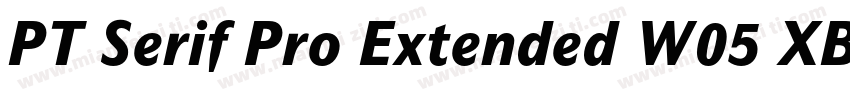 PT Serif Pro Extended W05 XBdIt字体转换
